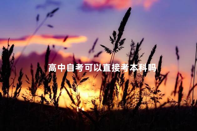 高中自考可以直接考本科吗 高中学历怎么升本科学历